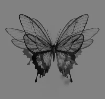 25+ Бабочки На Черном Фоне обои на телефон от illarion94