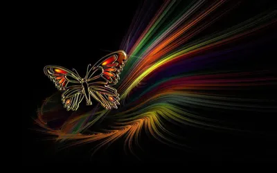 Бабочка цвета изолированной на черном фоне Иллюстрация штока - иллюстрации  насчитывающей взорвать, бабочка: 189541717