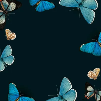 Концепция бабочки с песочными часами и мелом на черном фоне :: Стоковая  фотография :: Pixel-Shot Studio