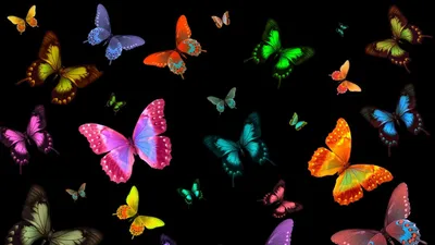 Бабочки на черном фоне картинки - 82 фото