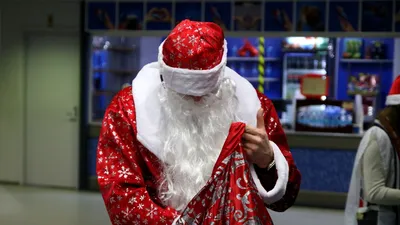 Ленобласть предлагает петербуржцам бесплатные ёлки на Новый год — РБК
