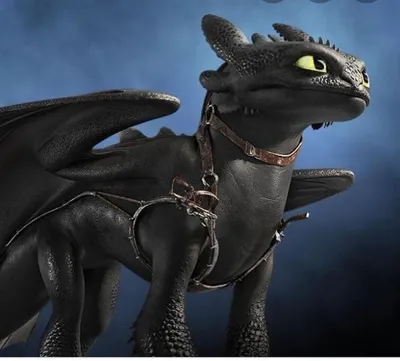 1280x2120 Toothless And Light Fury Romantic Love iPhone 6+ ,HD 4k  Wallpapers,Images,Backgrounds,Photos and Pictures