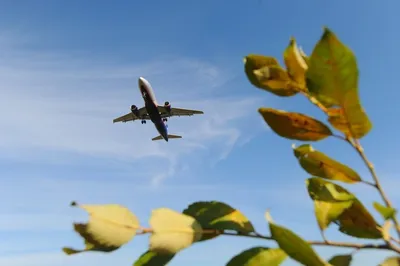 Самолет и билет на самолет в женской руке на синем фоне. Поездки стоковое  фото ©volody100@ukr.net 278868656