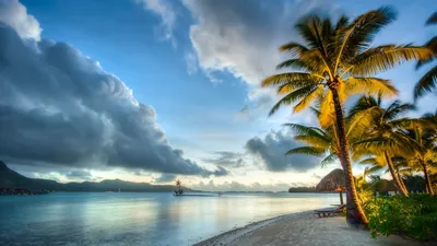 Фотография Бора-Бора Французская Полинезия Океан Природа 2560x1440