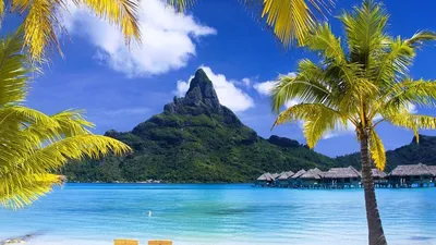 Обои на рабочий стол Французская Полинезия, остров Бора Бора, гора Отеману,  бунгало, море, пальмы на переднем плане, обои для рабочего стола, скачать  обои, обои бесплатно