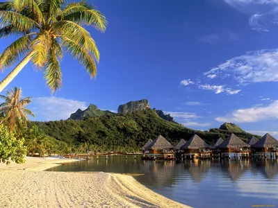 Обои Moana Beach, Bora Bora, French Polynesia Природа Тропики, обои для рабочего  стола, фотографии Обои для рабочего стола, скачать обои картинки заставки  на рабочий стол.