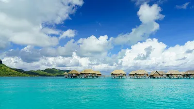 Pictures Bora Bora French Polynesia Bungalow Sea Nature 2560x1440