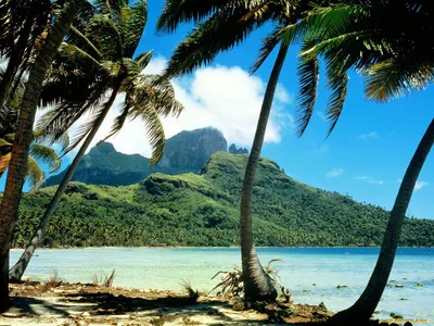 Обои Otemanu Peak Bora Bora French Polynesia Природа Тропики, обои для рабочего  стола, фотографии Обои для рабочего стола, скачать обои картинки заставки  на рабочий стол.