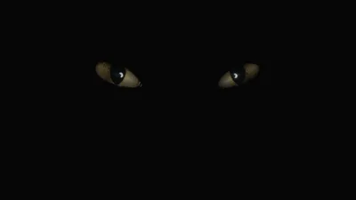 Скачать обои Черные кошки (Чёрный, Кошки, Коты) для рабочего стола  1920х1080 (16:9) бесплатно, Фото Черные кошки Чёрный, Кошки, Коты на рабочий  стол. | WPAPERS.RU (Wallpapers).