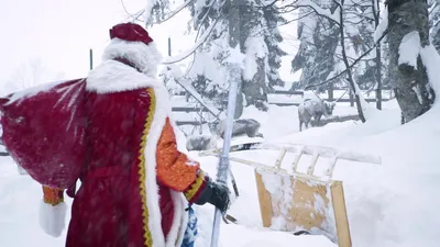 Фольгированный шар “Дед Мороз на лыжах” купить в Москве с доставкой: цена,  фото, описание | Артикул:A-004677