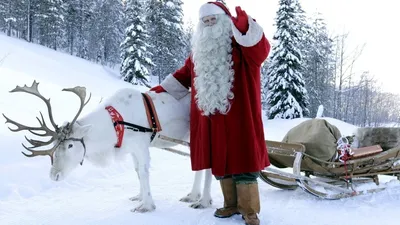Дед Мороз на Оленях (Едет к Вам: 60 мин.)