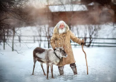 Картинки Дед мороз и олени (36 шт.) - #7845