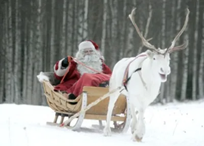 21 дед мороз на оленях - YouTube | Merry christmas and happy new year, Days  until christmas, Christmas