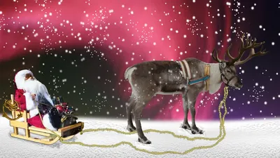 Дед Мороз и Снегурочка приезжают на оленях! - YouTube