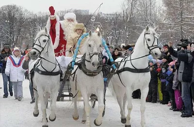 Наклейки новогодние для окон \"Дед Мороз на тройке лошадей\", 50,2 Х 70,2 см  / наклейка оконная на новый год купить по выгодной цене в интернет-магазине  OZON (359071993)