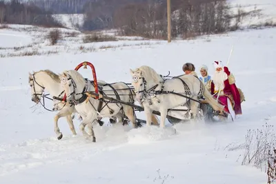 Дед Мороз и Снегурочка на тройке лошадей | Facebook