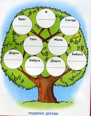 Раскраски дерево, Раскраска Семейное дерево на английском языке Члены семьи.
