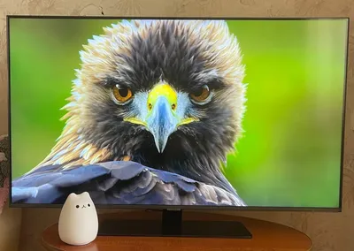 Стоит ли покупать 40\" Телевизор Samsung UE40MU6470U 2017 LED, HDR? Отзывы  на Яндекс Маркете