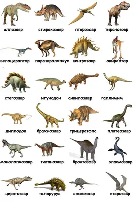 Динозавров на русском с картинками фото