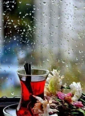 Alla - Всем доброе утро и хорошего дня 🌞, не смотря на дождь за окном 😉  Хорошее настроение мы создаем себе сами! ☝️🌺 | Facebook