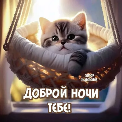 Книга для детей «Сказки доброй ночи» в дар (Москва). Дарудар