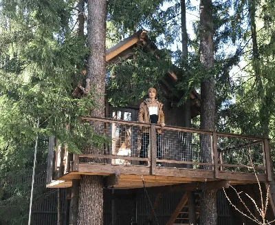 Как устроен MikeGrape Company — проект из Черемшанки, который строит дома  на деревьях