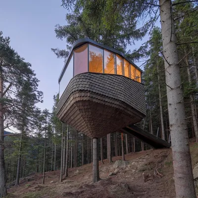 Дома на деревьях в Норвегии | myDecor