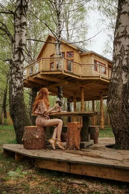Аренда дома на дереве в Подмосковье | Лапочкино гнездо