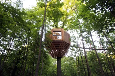 Отдых в Эстонии: 7 удивительных домов на деревьях, от которых придут в  восторг и дети, и взрослые