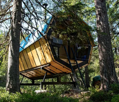10 самых необычных проектов домов на деревьях | AD Magazine