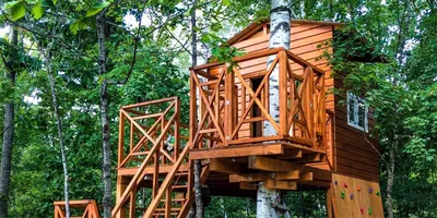 Дома на деревьях и особенности их постройки - dominant-wood.com.ua