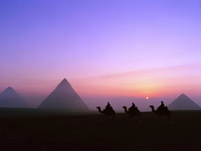 Египет, караван и пирамиды: обои с городами и странами, картинки, фото  1024x768