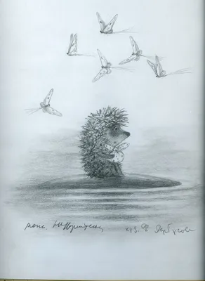 Ёжик в тумане иллюстрации Норштейна - 48 фото