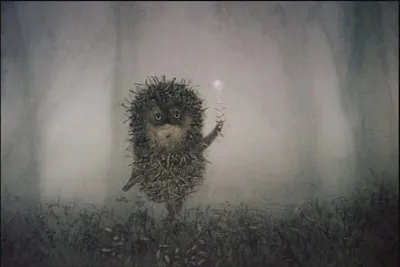 картинки из ежика в тумане – Google Поиск | Fairy tail art, Fog, Beautiful  cinematography