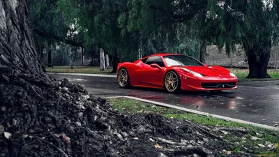 Обои Автомобили Ferrari, обои для рабочего стола, фотографии автомобили,  ferrari, аллея, красный, деревья, феррари Обои для рабочего стола, скачать  обои картинки заставки на рабочий стол.