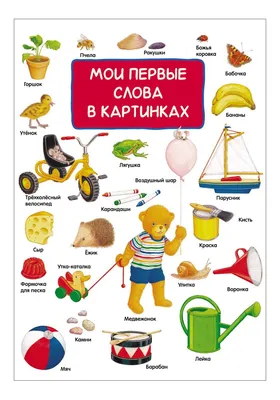 Иллюстрация 3 из 34 для Словарные слова в картинках для начальной школы |  Лабиринт - книги. Источник: