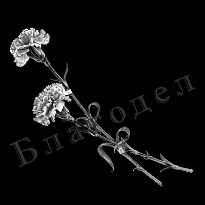 Цветы № 43 гвоздики - купить по цене 850 руб в Брянске