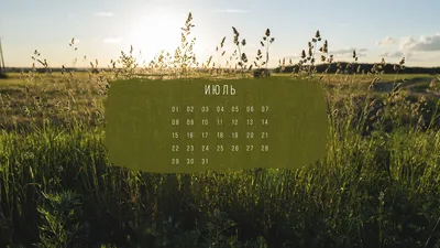 Обои + календарь: июль