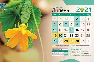 Вдохновляющие обои с календарями и цитатами на июль 2023 года - Блог  издательства «Манн, Иванов и Фербер»