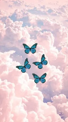 Обои с бабочками 👉👈 | Обои и Прикольные Картинки Amino
