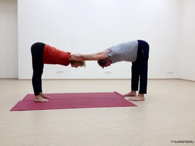 Основы йоги для двоих: самые легкие позы для парной йоги