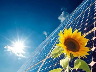 Плюсы и минусы солнечной энергии