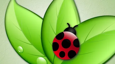 How to draw a LADYBUG / cartoon coloring LADYBUG for kids / Coloring pages  for kids - YouTube