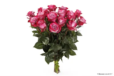 Букет из роз двух цветов - 64 фото