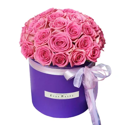 Фотография букет Розы розовая Цветы Белый фон 3200x2400