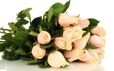Букет роз на прозрачном фоне для фотошопа (53 фото) | Букет роз, Розы, Букет