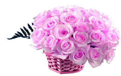 цветочные летние плавные букеты розовых цветов на прозрачном фоне для  текстиля обоев Иллюстрация вектора - иллюстрации насчитывающей ткань,  безшовно: 241760173