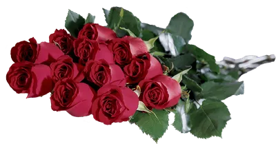 Цифровой скрапбукинг Подарок Садовые розы День Рождения, подарок, Разное,  Аранжировка цветов png | PNGEgg