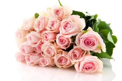 Шикарный букет роз на прозрачном фоне - 78 фото