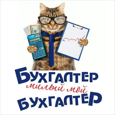 В России отмечают День бухгалтера » «Муравленко 24»